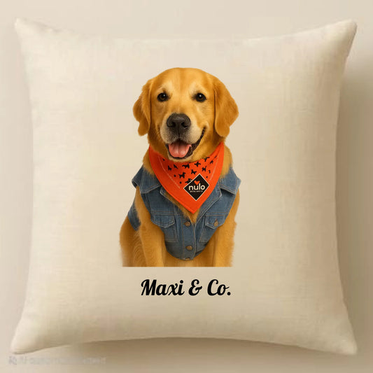 WhatsApp Image 2025-09-18 at 15.20.24